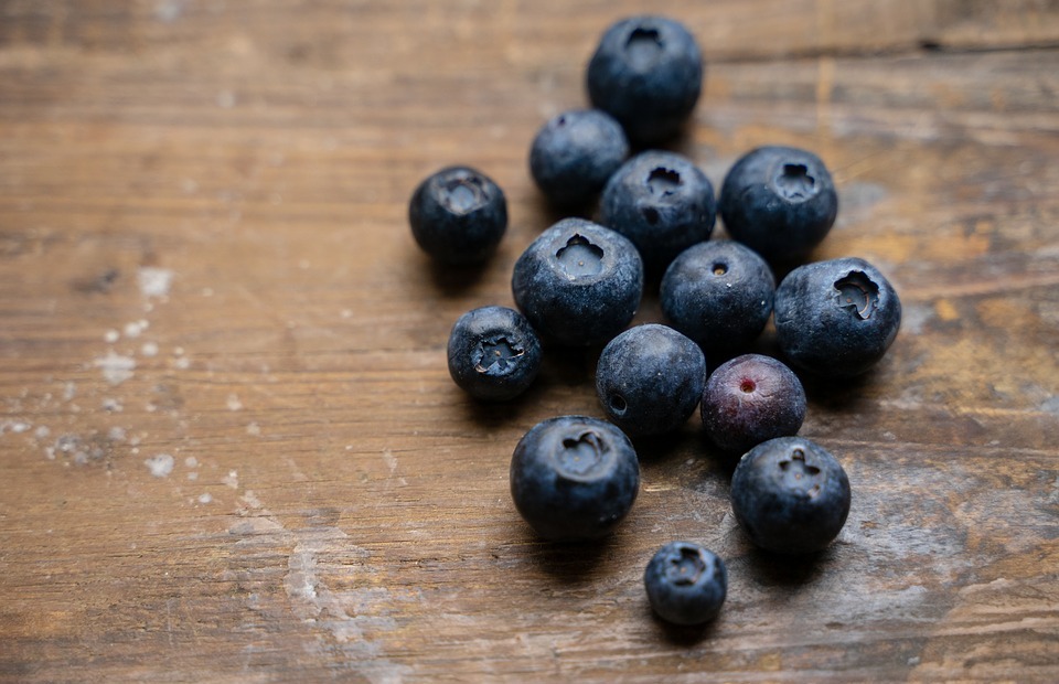 Can Dogs Eat Blueberries? A Guide to Safe Treats for Your Pup