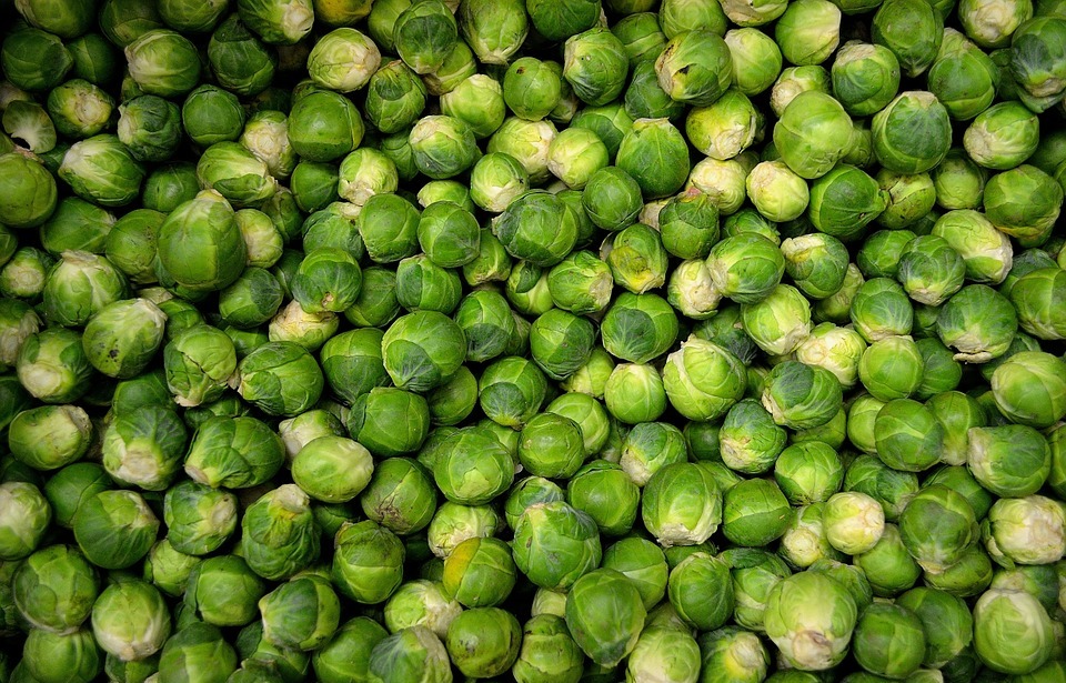 Can Dogs Eat Brussels Sprouts? (Safe or Toxic?)