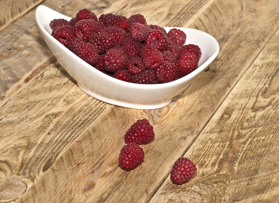 Can Dogs Eat Raspberries? A Guide for Dog Owners