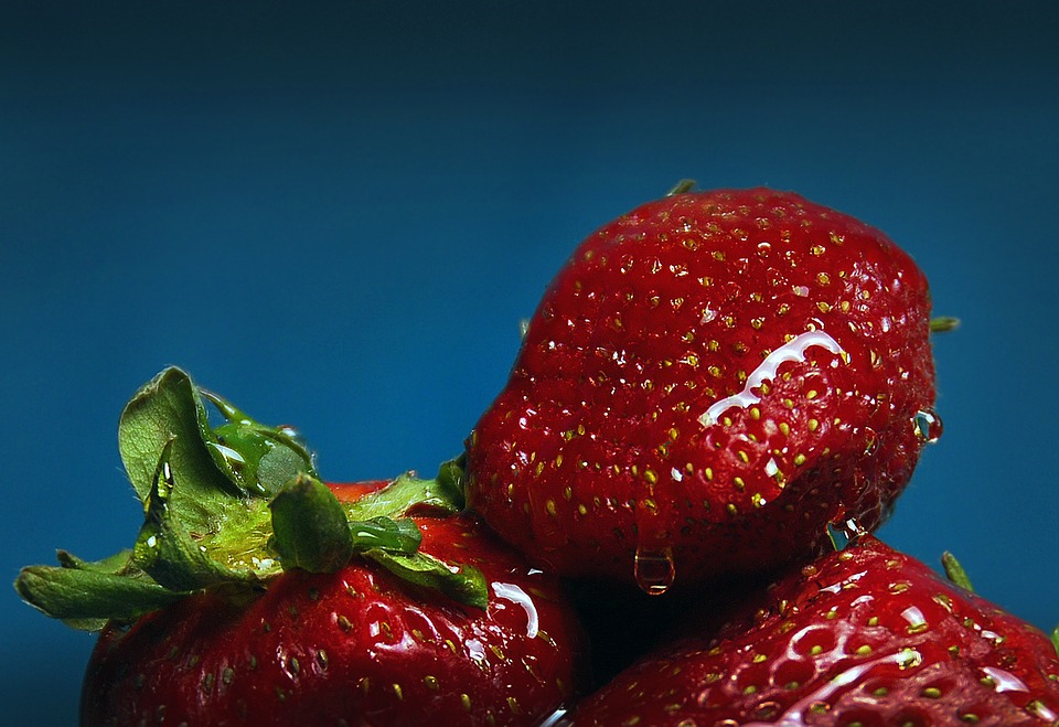 Can Rabbits Eat Strawberries? A Guide to Safe Fruits for Your Bunny