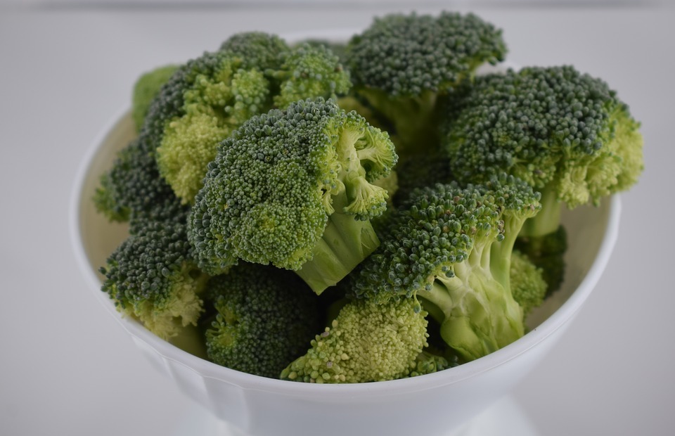 Can Dogs Eat Broccoli? A Vet-Approved Guide