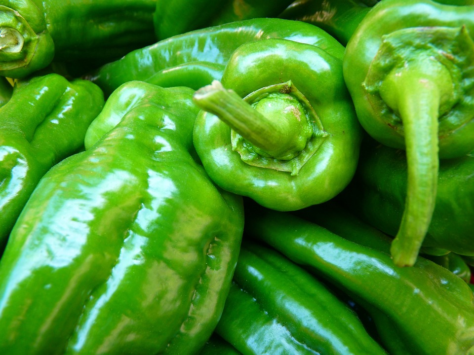 Can Rabbits Eat Bell Peppers? A Safe Treat or Toxic Food?