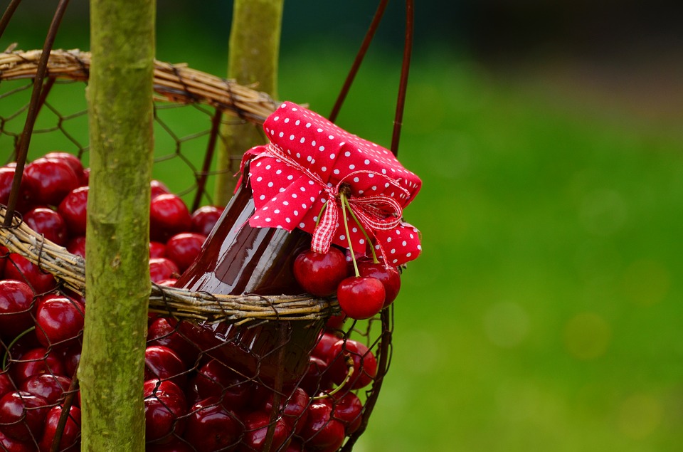 Can Dogs Eat Cherries? A Guide to Cherry Safety for Your Pup