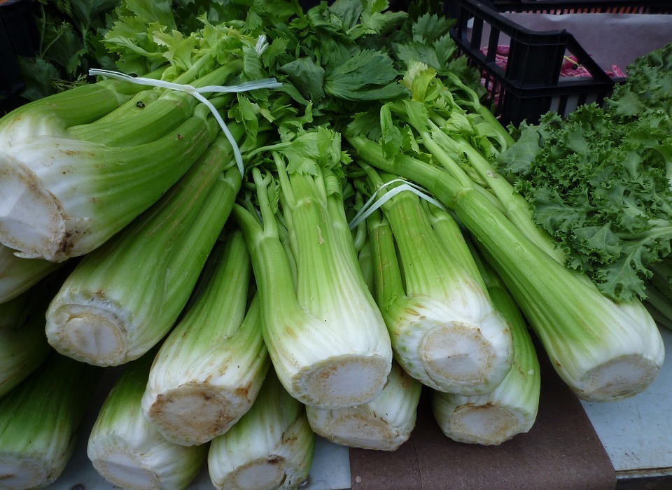 Can Rabbits Eat Celery? A Guide to Safe Rabbit Treats