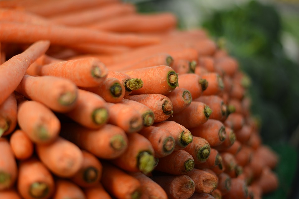 Can Rabbits Eat Carrots? (The Truth About This Popular Treat)