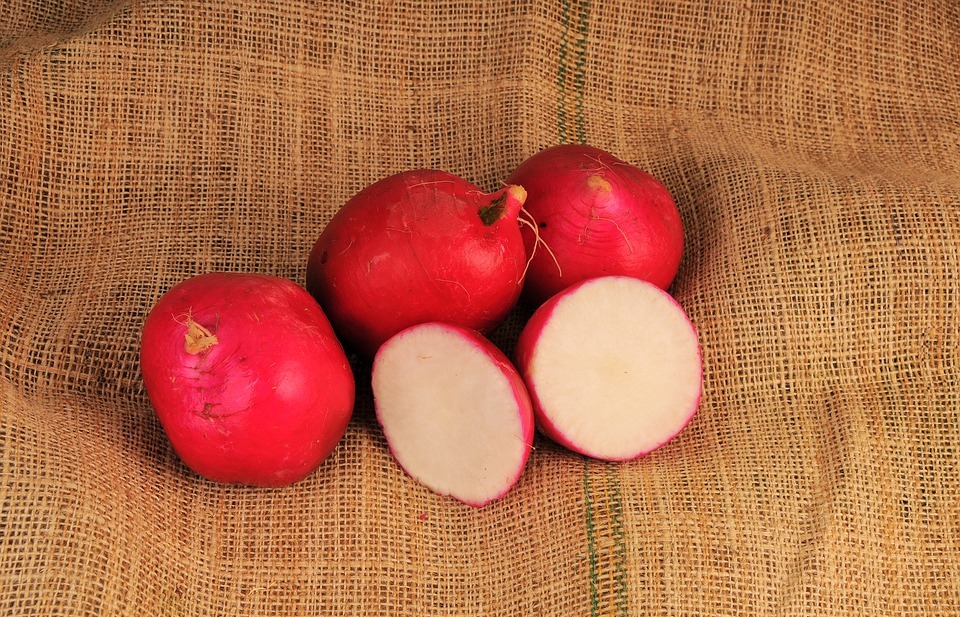 Can Rabbits Eat Radishes? A Guide to Safe Rabbit Diet