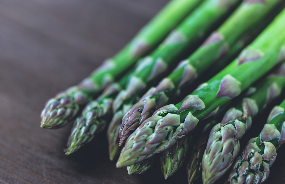 Can Dogs Eat Asparagus? A Vet-Approved Guide