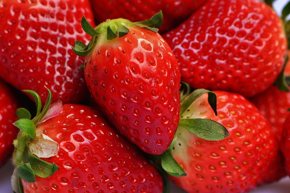 Can Dogs Eat Strawberries? A Vet-Approved Guide