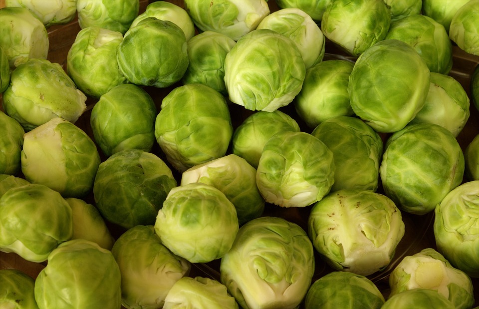 Can Dogs Eat Brussels Sprouts? (Safe or Toxic?)