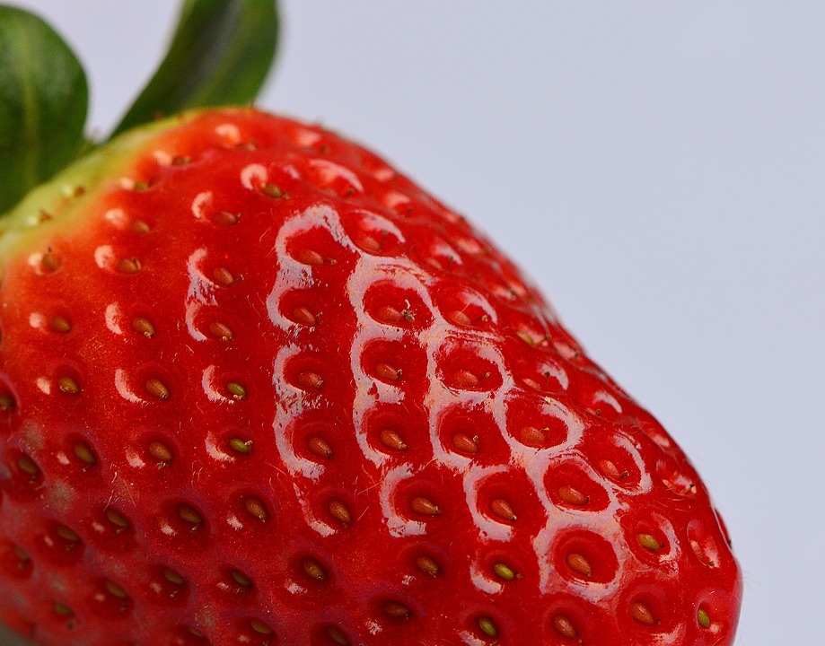 Can Rabbits Eat Strawberries? A Complete Guide