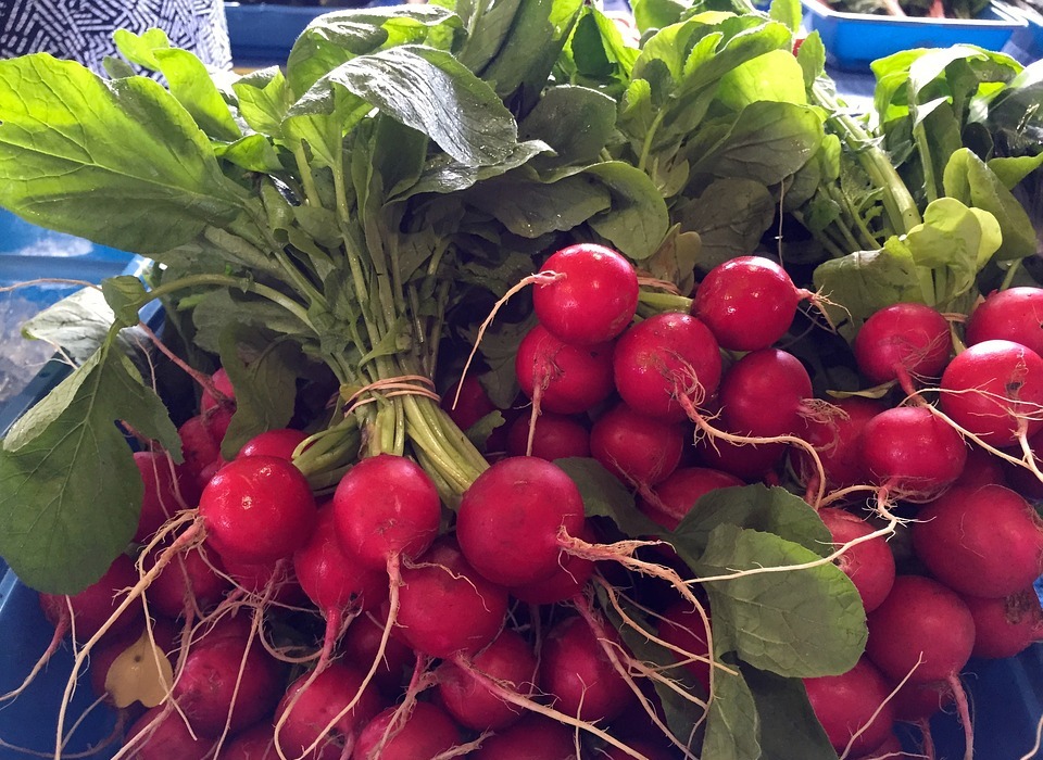 Can Rabbits Eat Radishes? A Guide to Safe Rabbit Diet