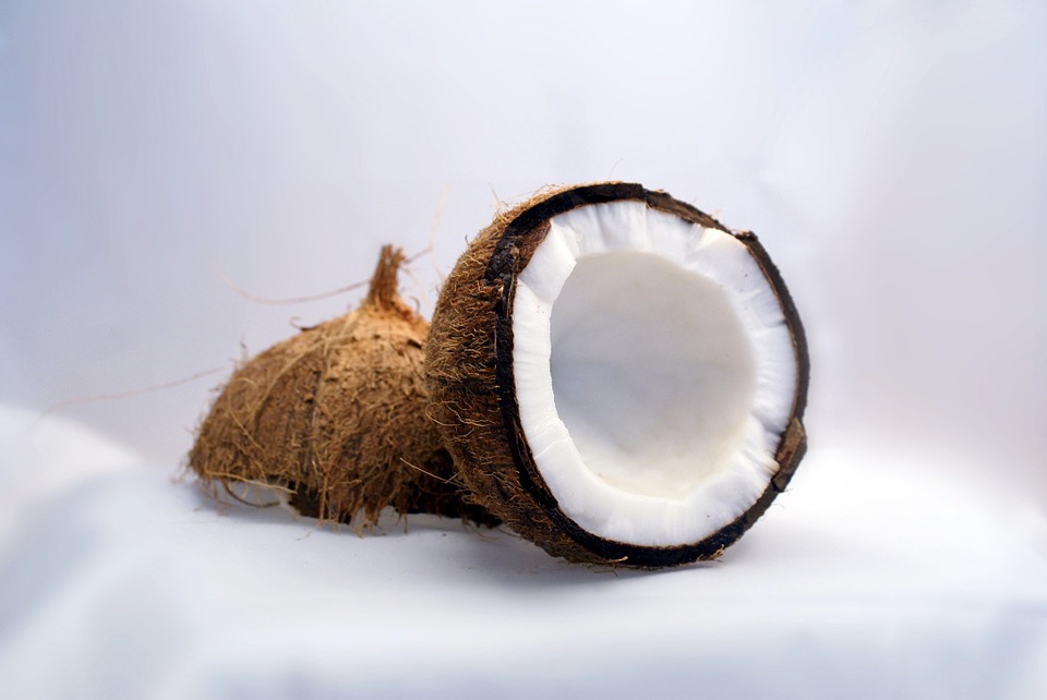 Can Dogs Eat Coconut? A Guide to Safety and Benefits