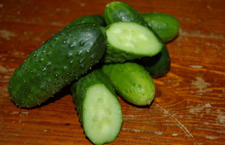 Can Rabbits Eat Cucumbers? A Guide to Safe Treats