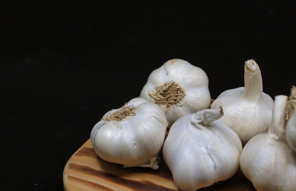 Can Cats Eat Garlic? (Is It Safe or Toxic?)