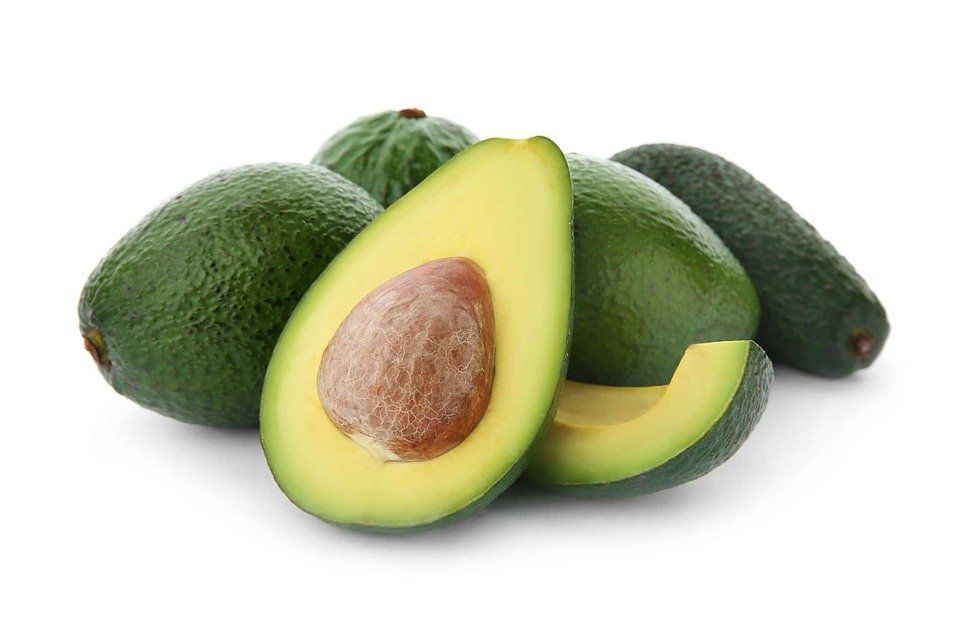 Can Cats Eat Avocado? (The Truth About This Toxic Fruit)