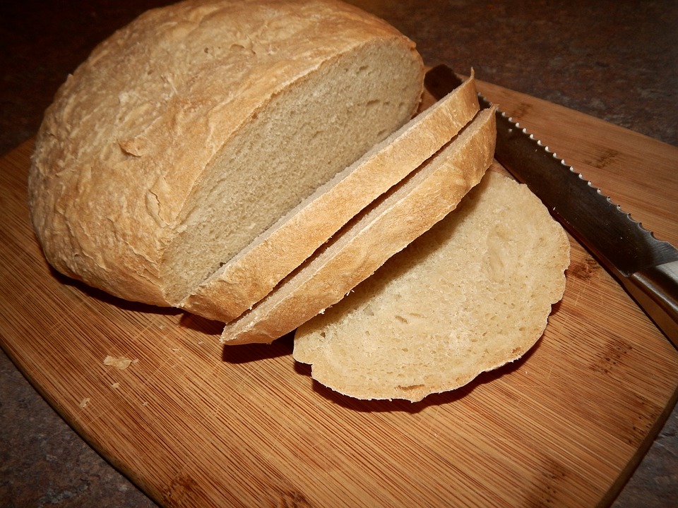 The Ultimate Guide to Understanding Why Cats Loaf