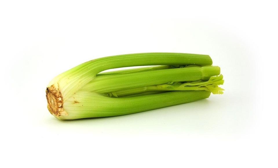 Can Cats Safely Eat Celery? (Vet-Approved Guide)