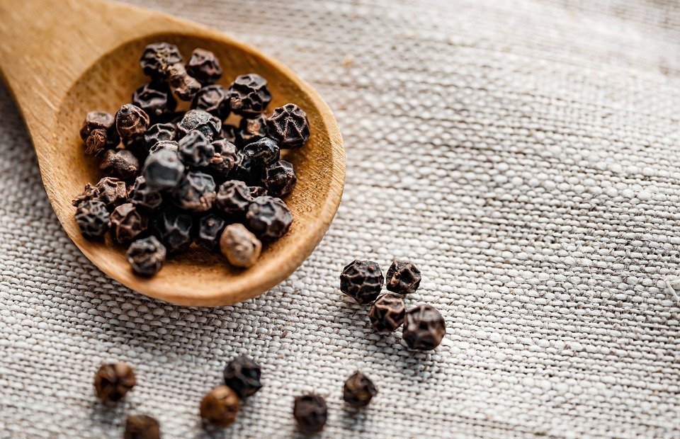 Can Dogs Eat Black Pepper: Is It Safe or Harmful?