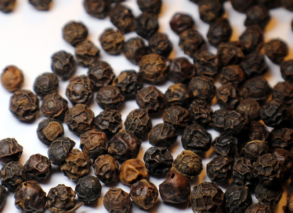 Can Dogs Eat Black Pepper: Is It Safe or Harmful?