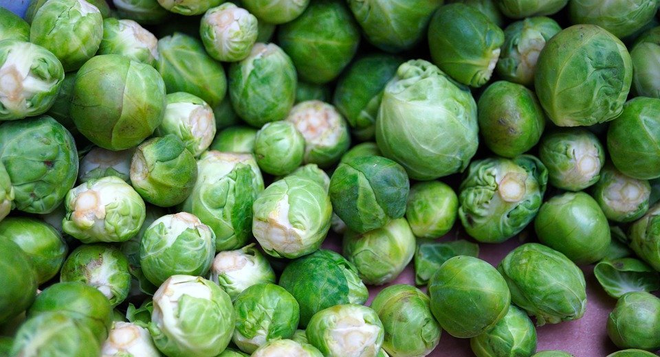 Can Dogs Eat Brussels Sprouts? Safe or Toxic?