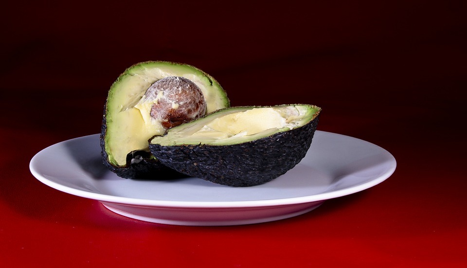 Can Dogs Eat Avocados? (The Surprising Truth)